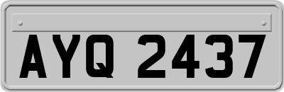 AYQ2437