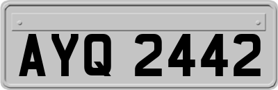 AYQ2442