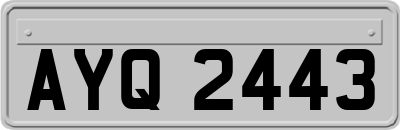 AYQ2443