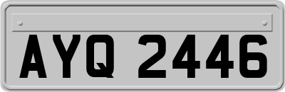 AYQ2446