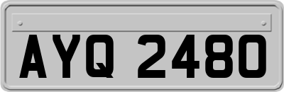 AYQ2480