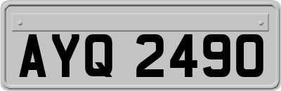 AYQ2490