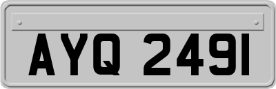 AYQ2491