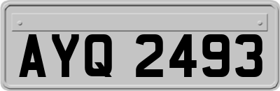 AYQ2493