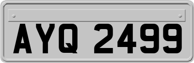 AYQ2499
