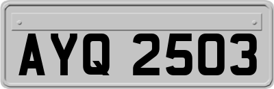 AYQ2503