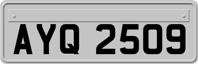 AYQ2509
