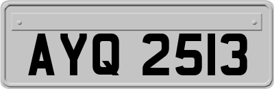 AYQ2513