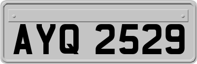 AYQ2529