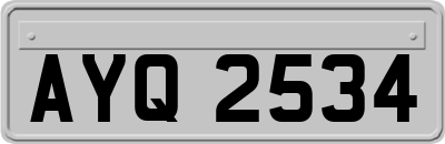 AYQ2534