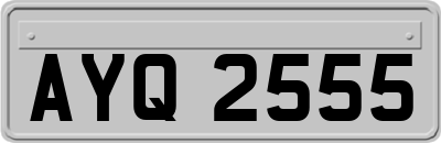 AYQ2555