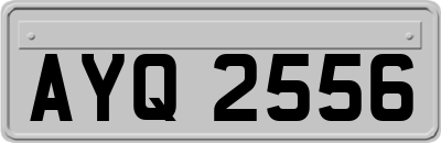 AYQ2556