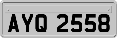 AYQ2558