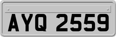 AYQ2559