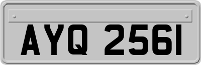 AYQ2561