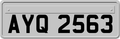 AYQ2563