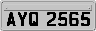 AYQ2565