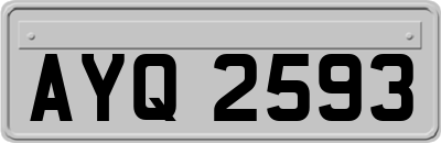 AYQ2593