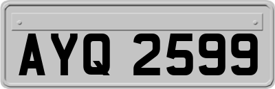 AYQ2599