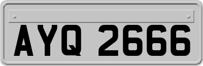 AYQ2666