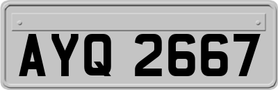 AYQ2667
