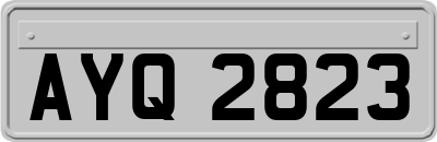 AYQ2823