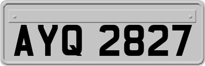 AYQ2827