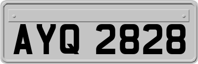 AYQ2828