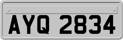 AYQ2834