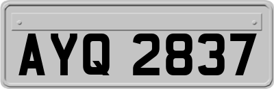 AYQ2837