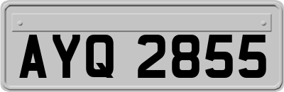 AYQ2855