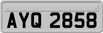AYQ2858