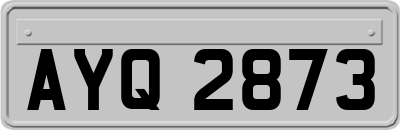 AYQ2873