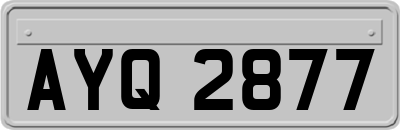 AYQ2877