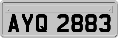 AYQ2883