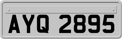 AYQ2895