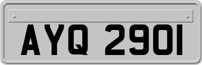 AYQ2901