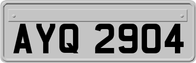 AYQ2904