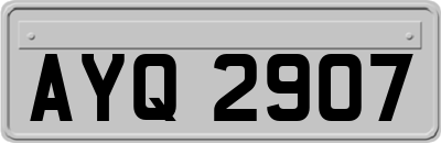 AYQ2907