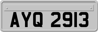 AYQ2913