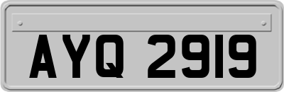 AYQ2919