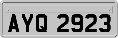 AYQ2923