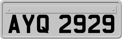 AYQ2929
