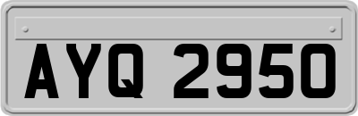 AYQ2950