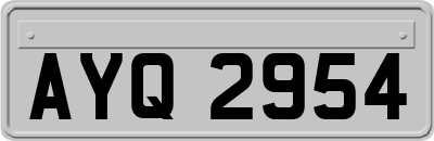 AYQ2954