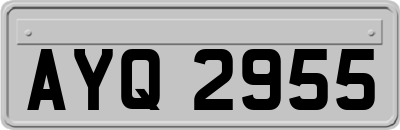 AYQ2955