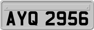 AYQ2956