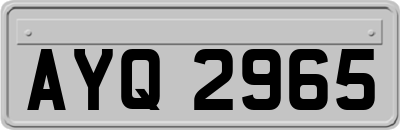AYQ2965
