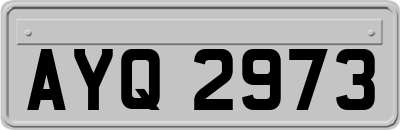 AYQ2973