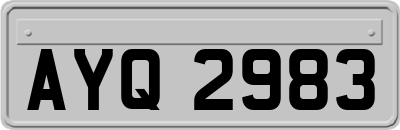 AYQ2983